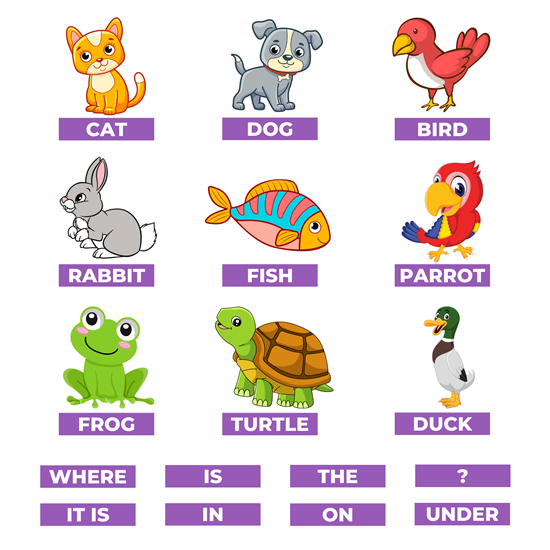 2. Sınıf 8. Ünite PETS Mıknatıslı Keçe Seti